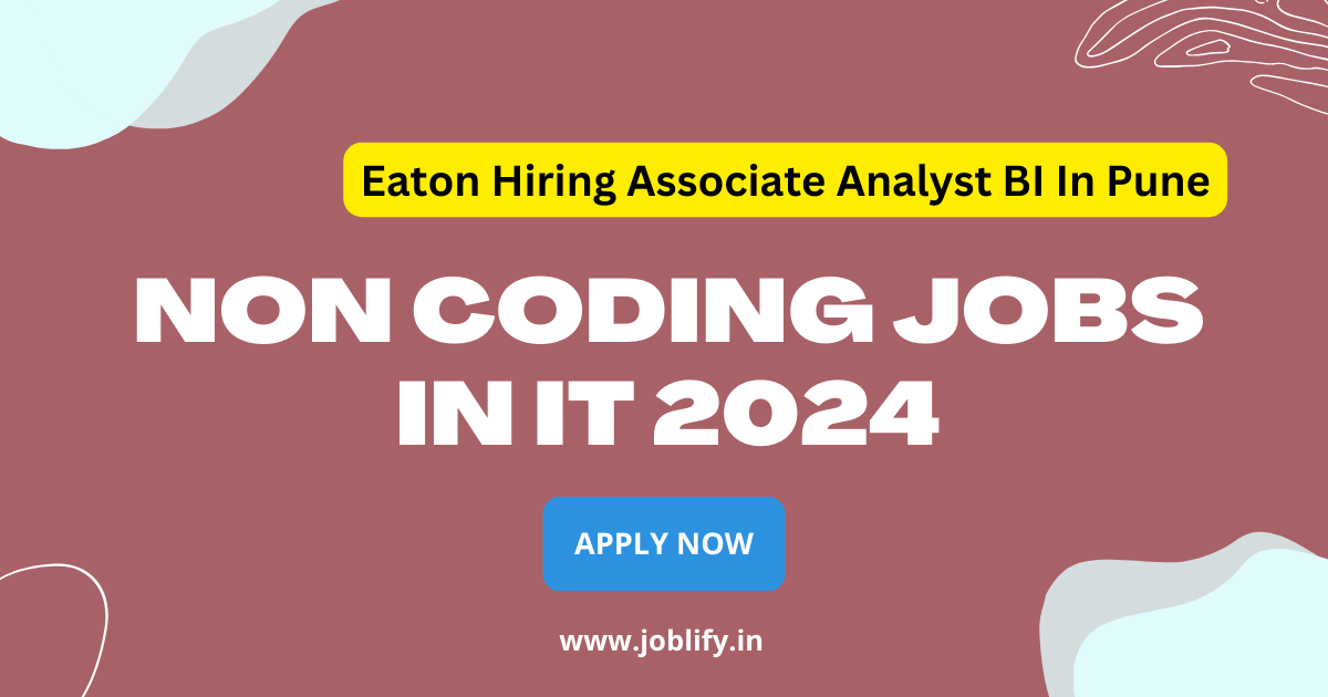 Non Coding Jobs In IT 2024